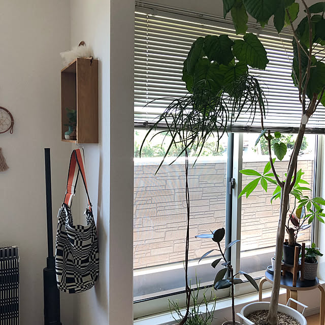 eriさんの部屋
