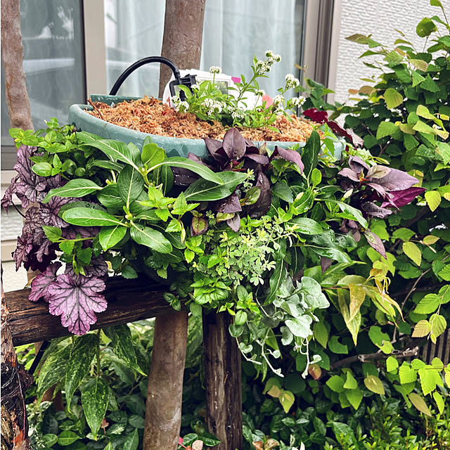 yukarin-gardenさんの部屋