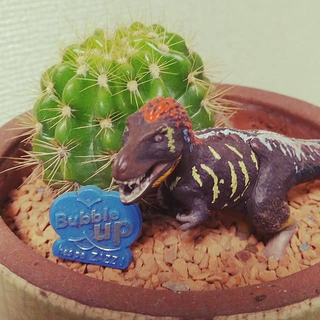 sonosono2さんの実例写真