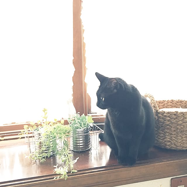 mahi1101さんの実例写真