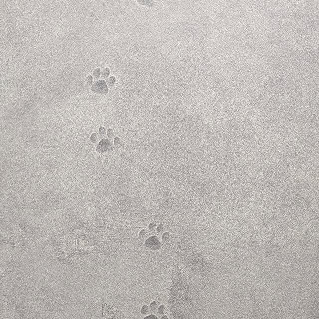 fumitanさんの部屋