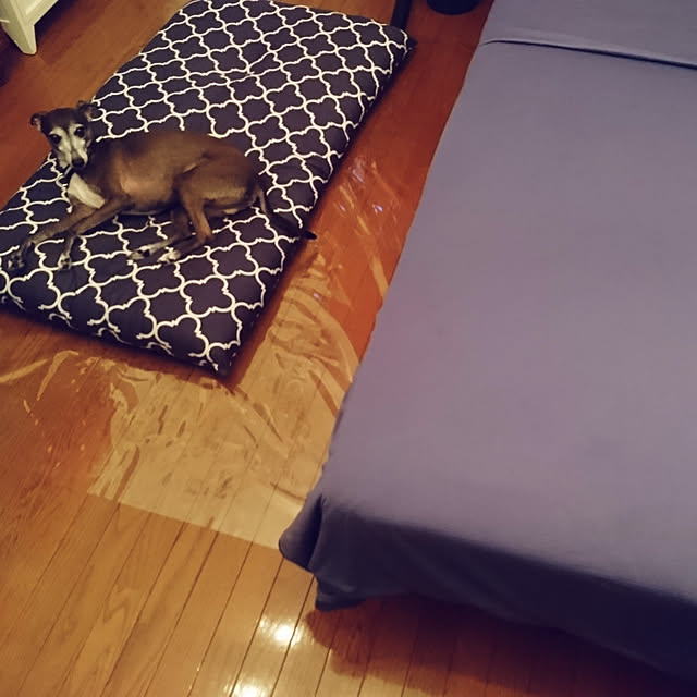 moruさんの実例写真