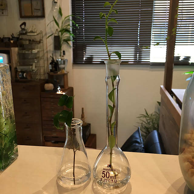 furu.さんの実例写真