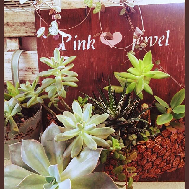 pinkさんの実例写真