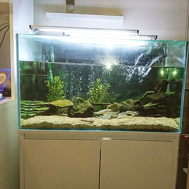 Keisukeさんの実例写真
