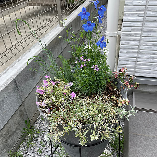 sakさんの実例写真