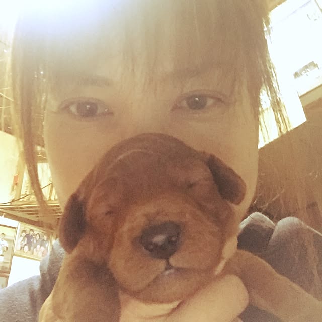 sei.kan.hide.chiyoさんの実例写真