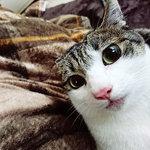 kiraさんの実例写真
