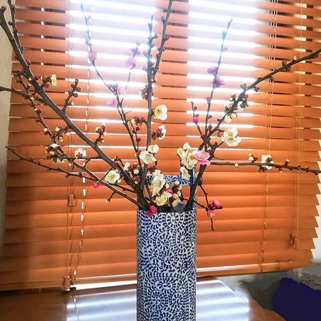 runaさんの実例写真