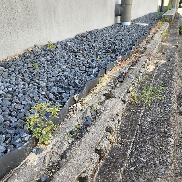 kossyさんの実例写真