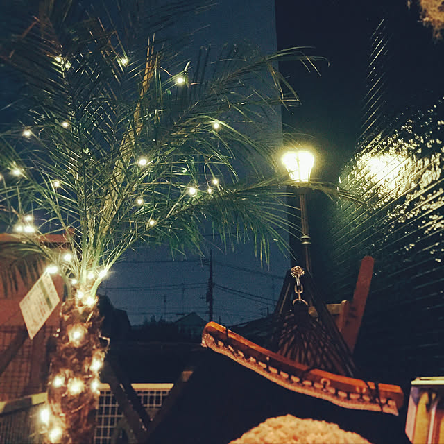 部屋全体/観葉植物/カフェ風のインテリア実例 - 2017-09-06 02:24:14