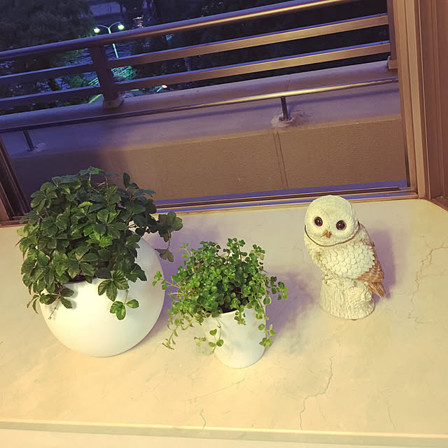 1209さんの実例写真