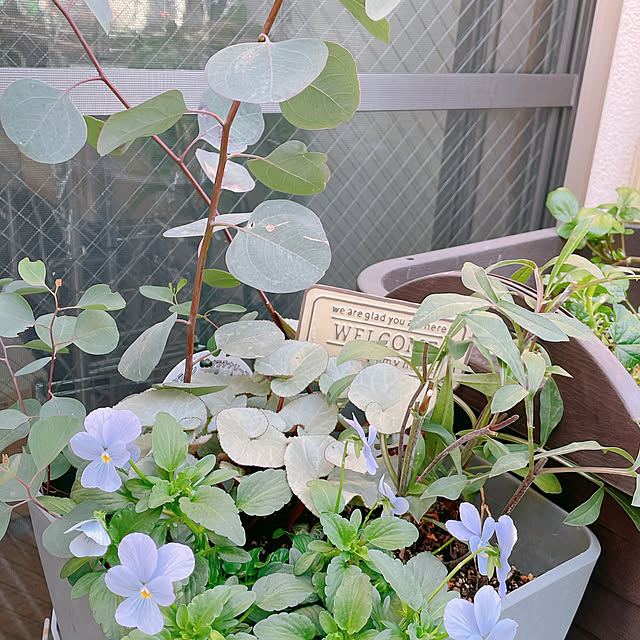 nahonさんの部屋