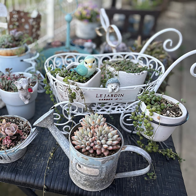 CoCo0617さんの部屋