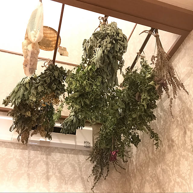 nonさんの実例写真