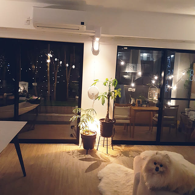 noahさんの実例写真