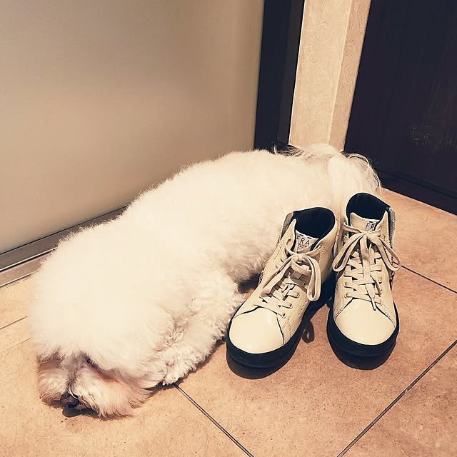 takoさんの部屋