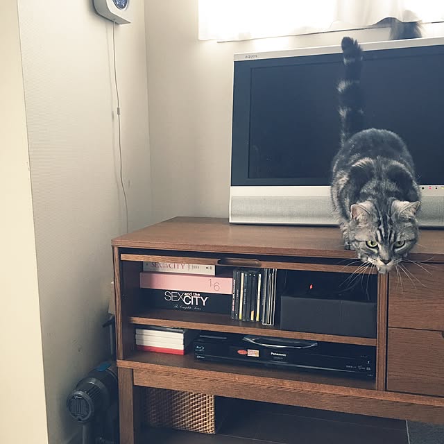 mikomaruさんの実例写真