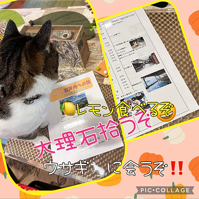 jijiさんの実例写真