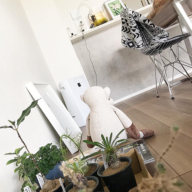k_roomさんの実例写真