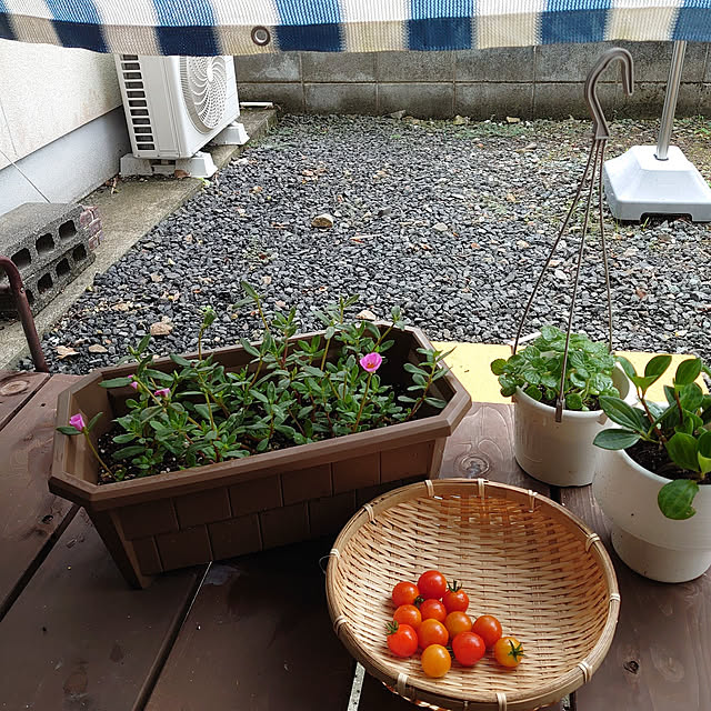 fukuさんの実例写真
