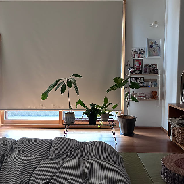 sakiさんの部屋