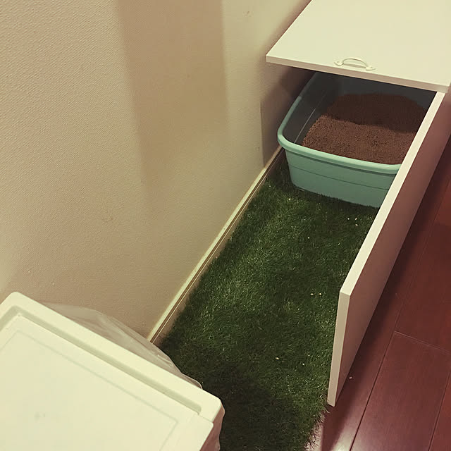 akkorosukeさんの実例写真