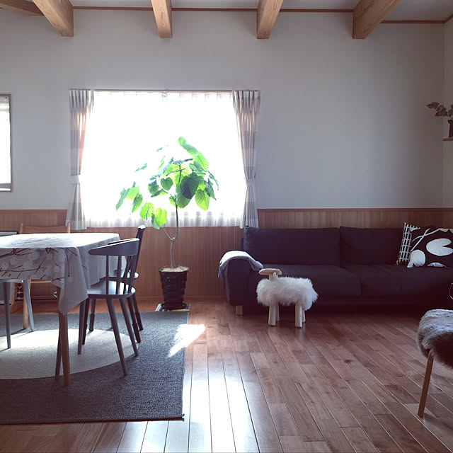 sorasoraさんの実例写真