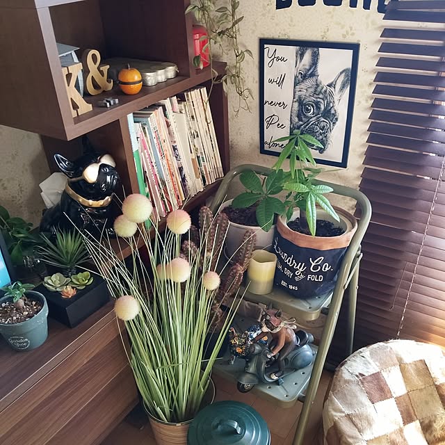 Pakkun-Anさんの実例写真