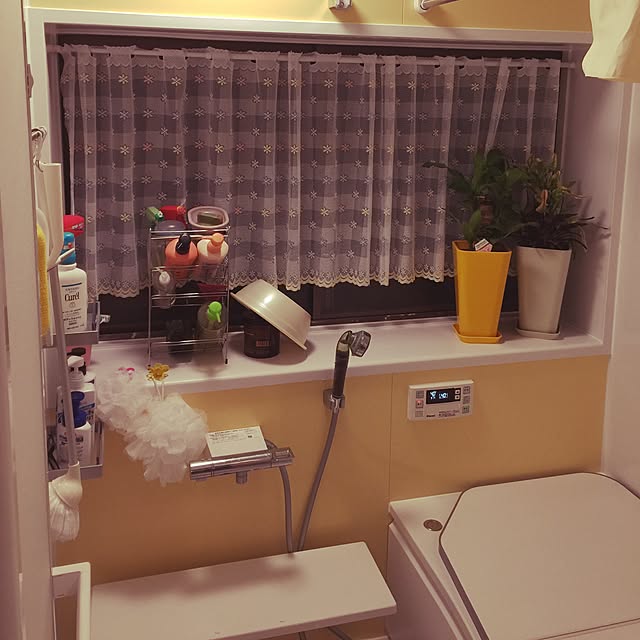 megさんの実例写真
