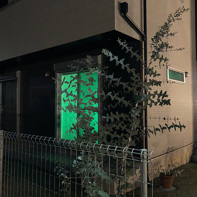 Denchanさんの部屋