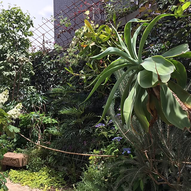 GreenWorksさんの実例写真