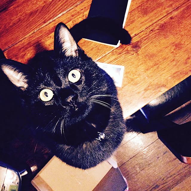 Naoki.さんの実例写真