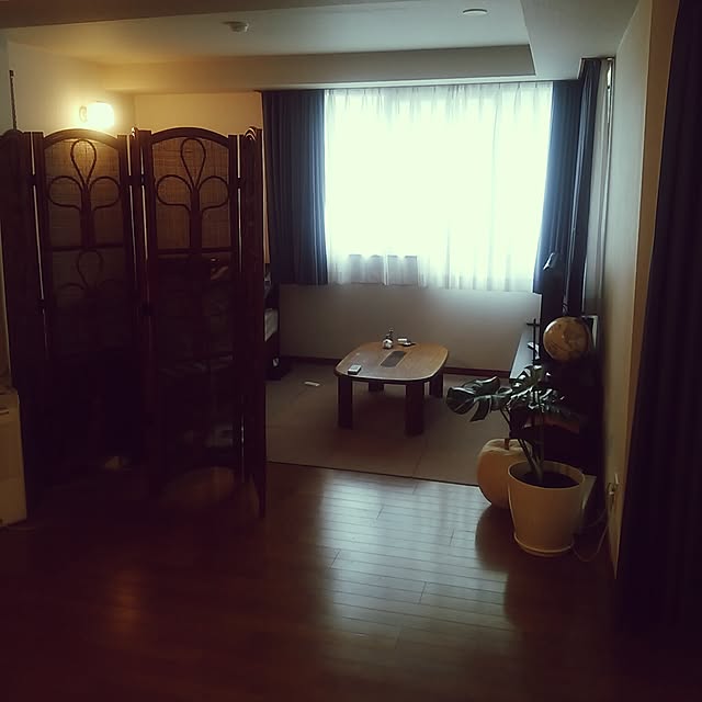 実例写真