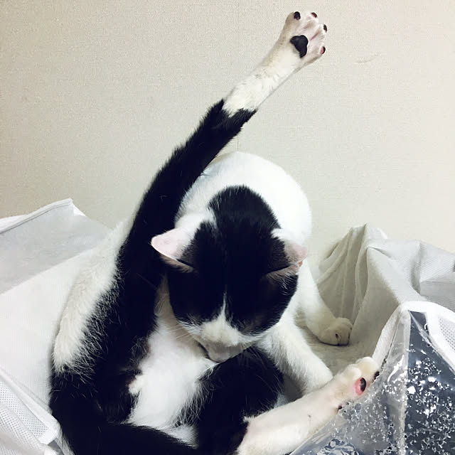 nobikoさんの実例写真