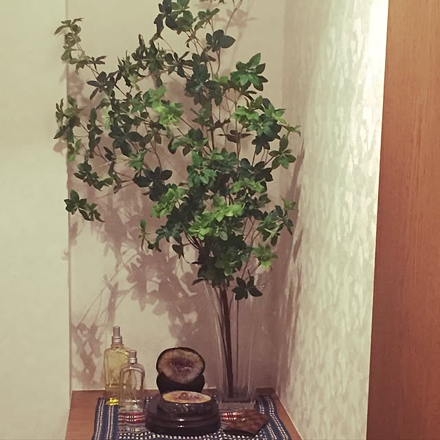 elfさんの実例写真