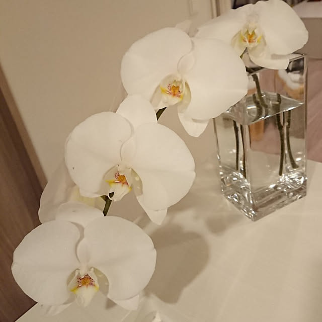beauty0513さんの実例写真