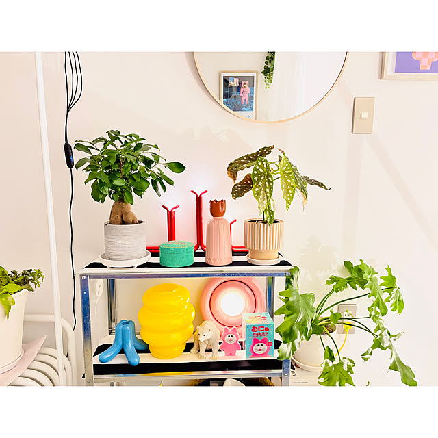 miyoさんの実例写真