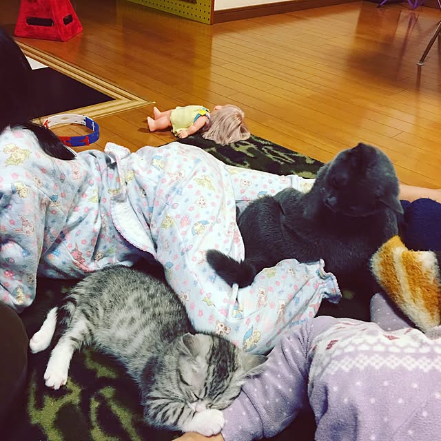 Shojiさんの実例写真