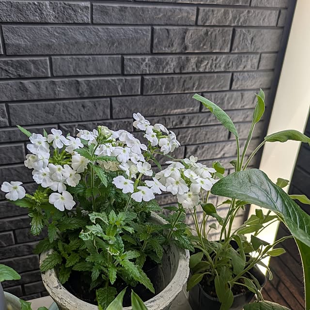 minnieさんの部屋