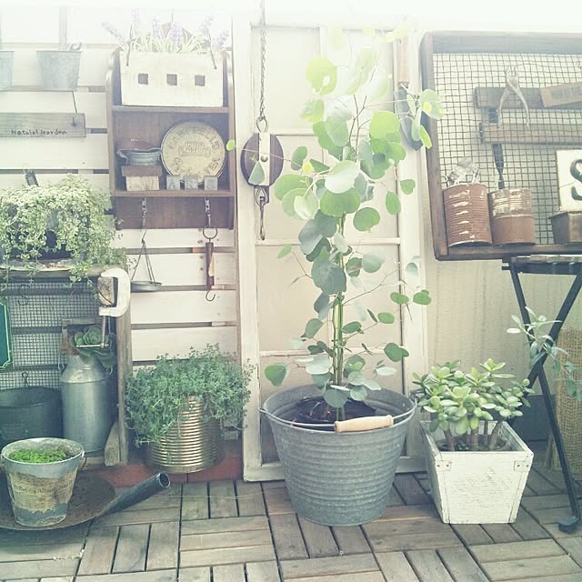 m.hinaさんの実例写真