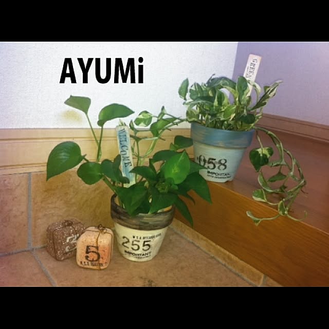 AYUMiさんの実例写真