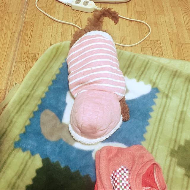 sei.kan.hide.chiyoさんの実例写真