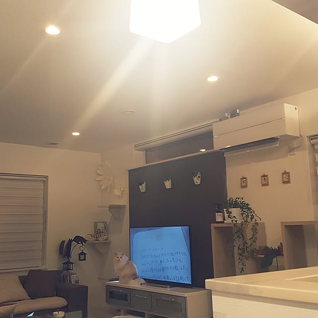megu.catさんの実例写真