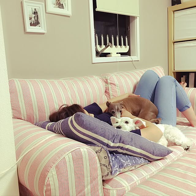 suzyさんの実例写真