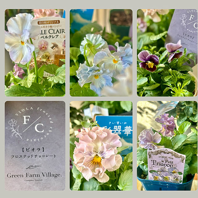 cocoさんの実例写真