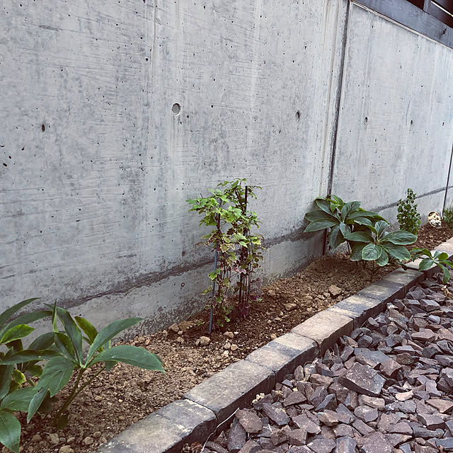 mychocokoさんの実例写真