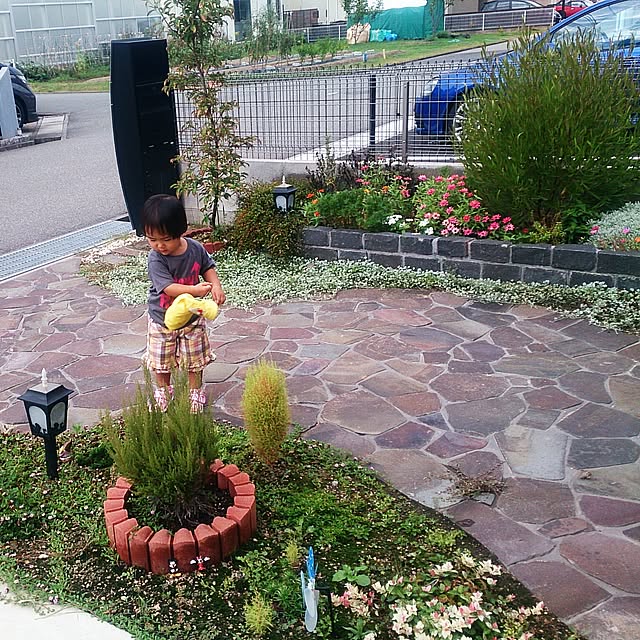 andoromedaさんの実例写真