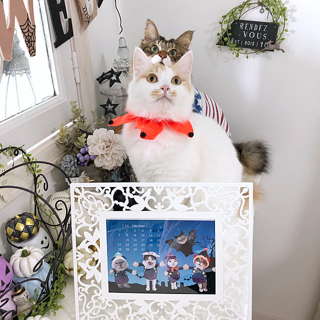 yuchiさんの実例写真