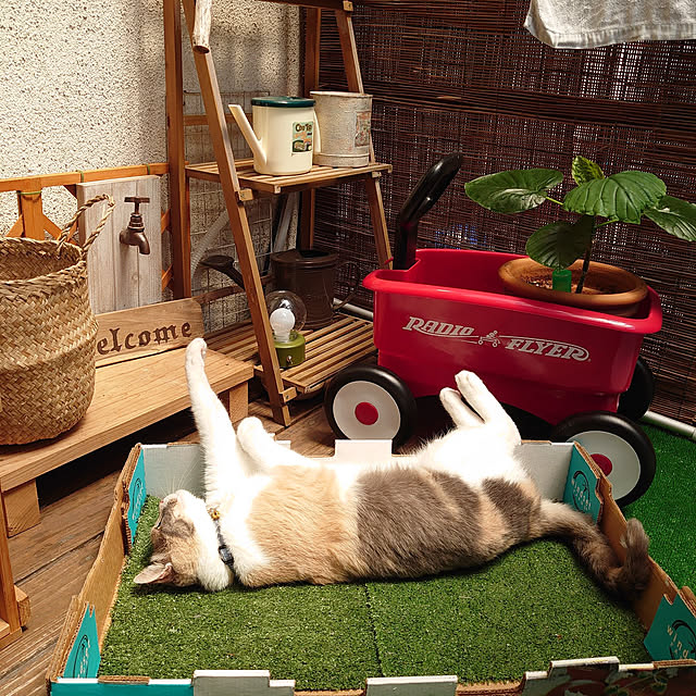 fukuさんの実例写真